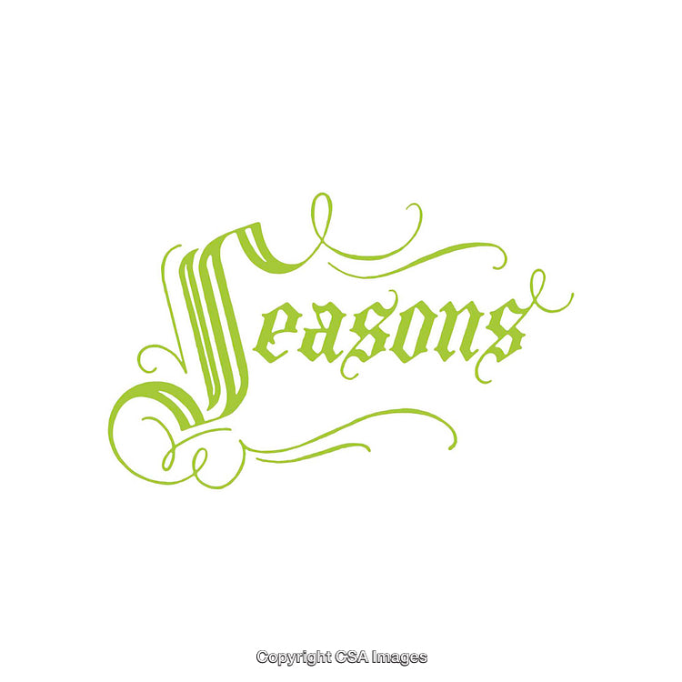 Elegant Green Calligraphy Artwork Featuring Swirling Decorations and Text