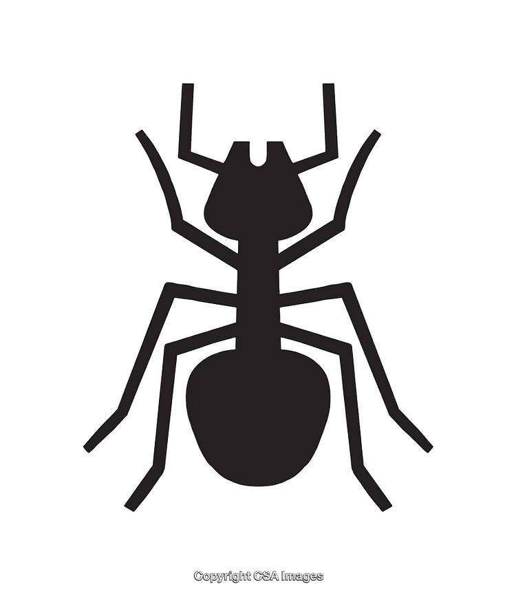 Simple Black Silhouette Icon of an Ant