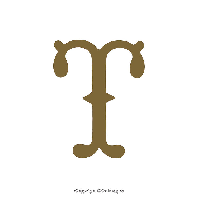 Ornamental Serif Letter T in Minimal Monochrome Style