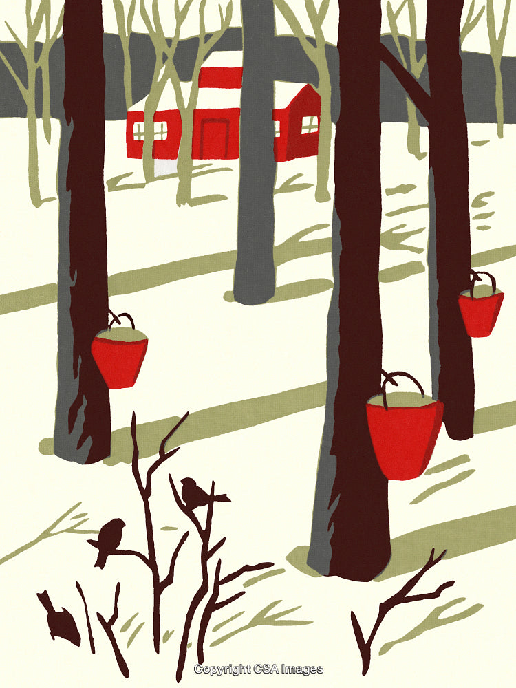 Rustic Winter Scene with Red Cabin and Maple Syrup Buckets in Snowy Forest