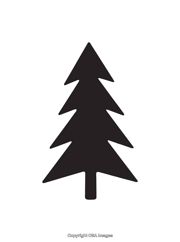 Black Silhouette of a Pine Tree Icon on a White Background