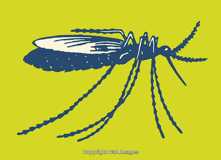 Blue Mosquito Line Art on Bright Green Background Illustration