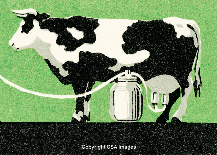 Illustration of a Dairy Cow With a Milking Machine on Green Background