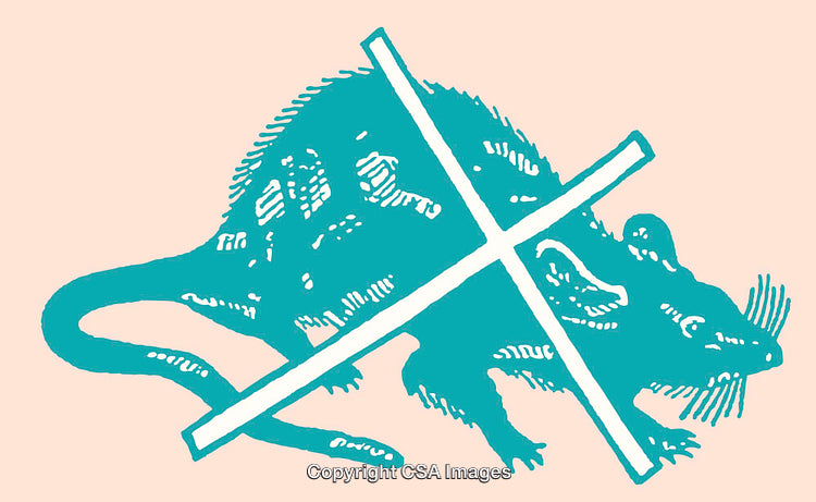 Illustration of Rodent Prevention Using Blue and Pink Contrasting Colors