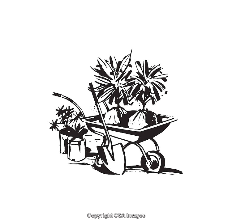 Illustration of Gardening Tools and Plants with a Wheelbarrow Scene