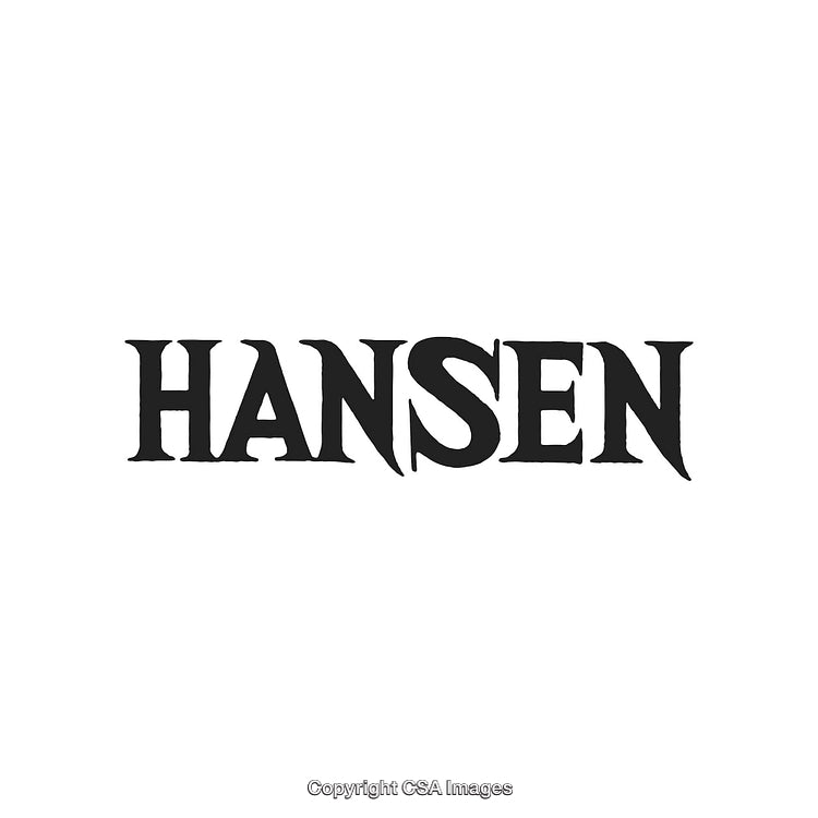 Minimalist Bold Black Hansen Text Logo on White Background