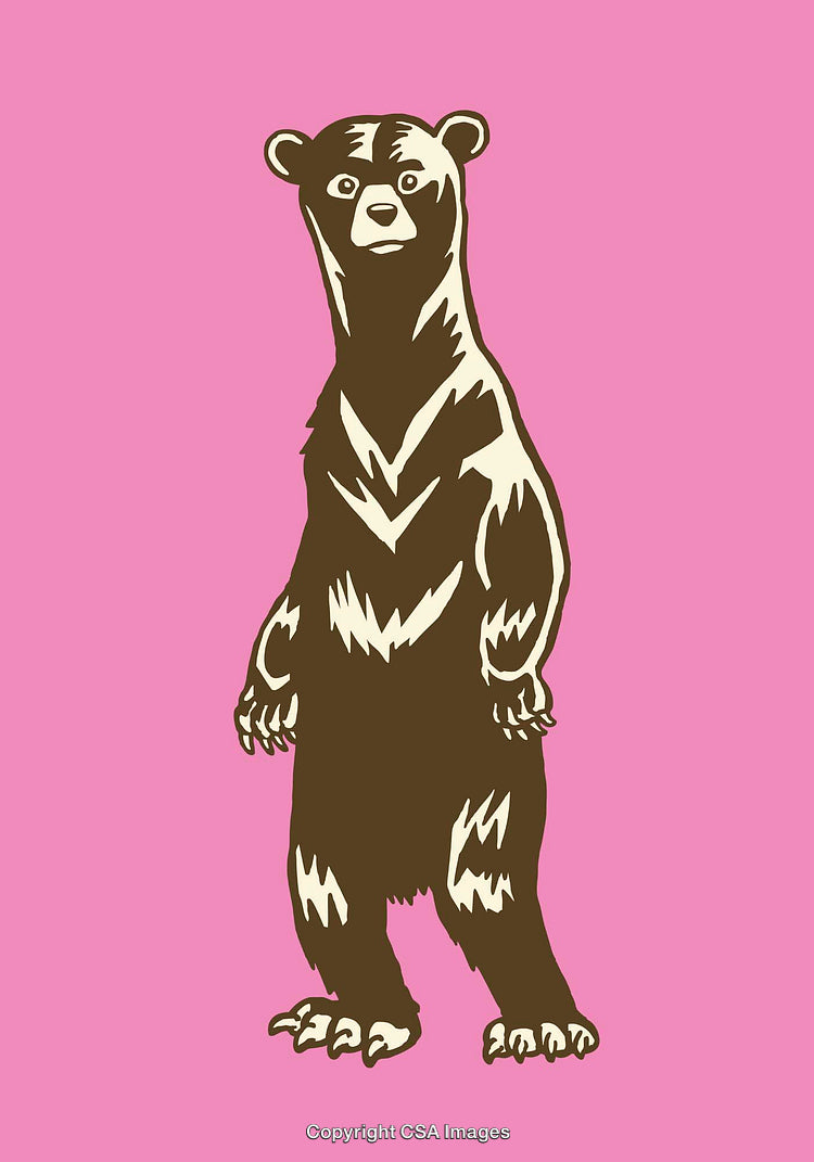 Stylized Bear Illustration on Pink Background in Color Line Art