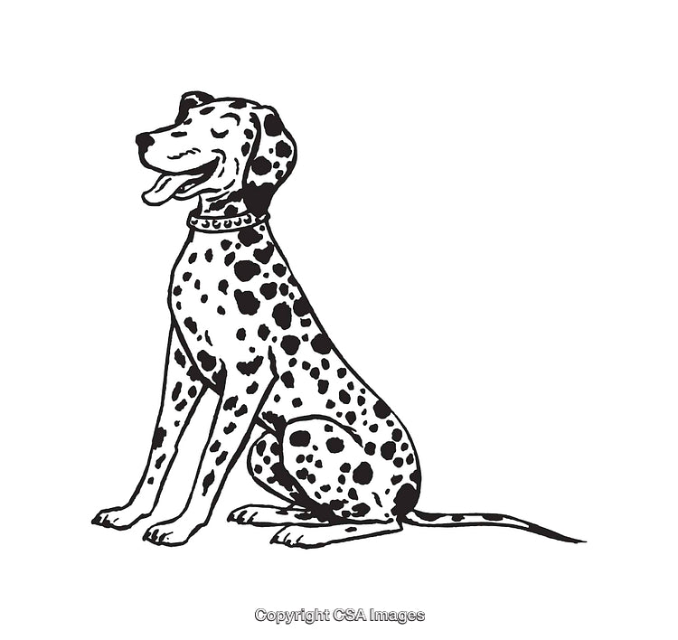 Black and White Line Art of a Sitting Dalmatian Dog