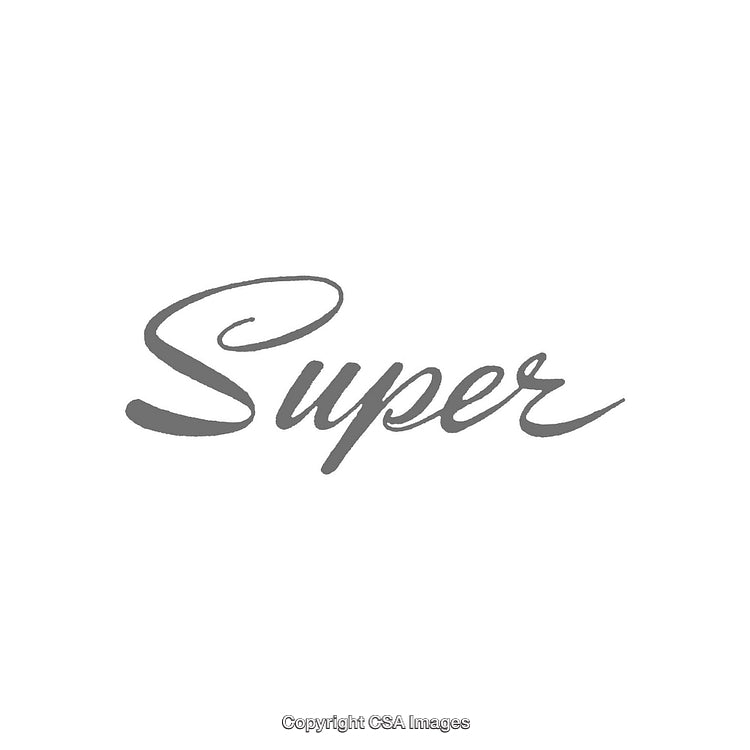 Gray Handwritten Calligraphy Text Illustration on White Background