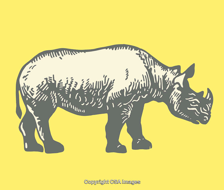 Colorful Line Art Illustration of a Rhinoceros on a Yellow Background