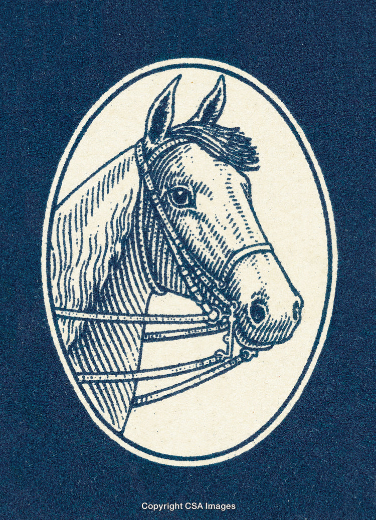 Detailed Vintage Illustration of a Horse's Head in an Oval Frame