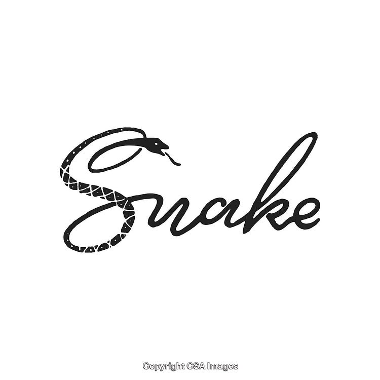 Creative Snake Illustration Featuring Unique Typography Design in Black and White Colors