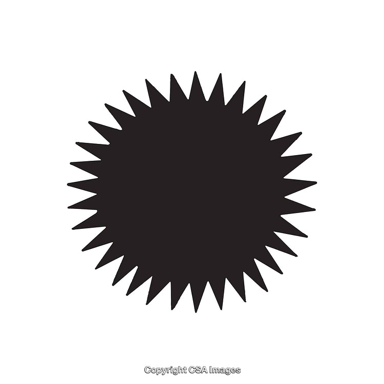 Black Starburst Dingbat Symbol on a White Background
