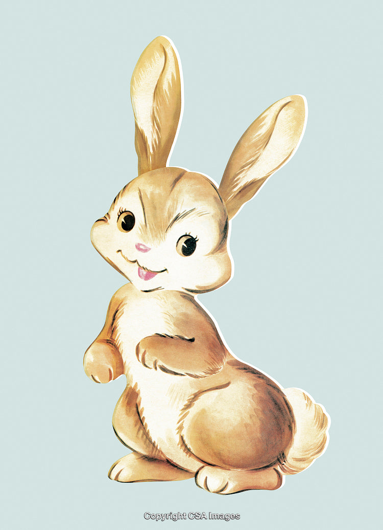 Charming Illustrated Cartoon Rabbit Character with a Cheerful Expression