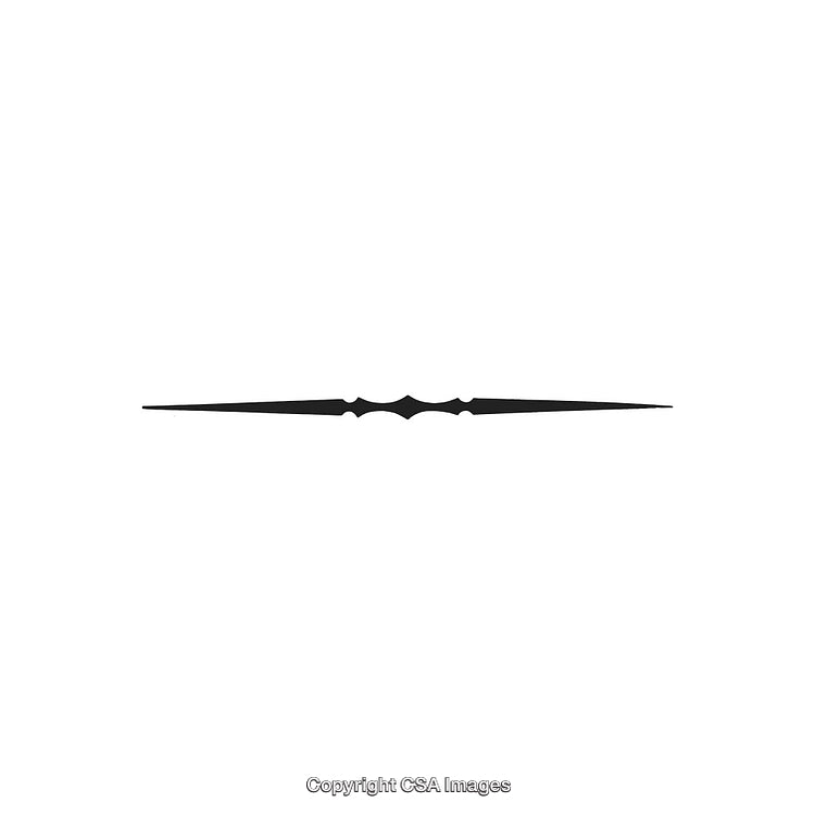 Elegant Thin Black Decorative Divider Line on White Background