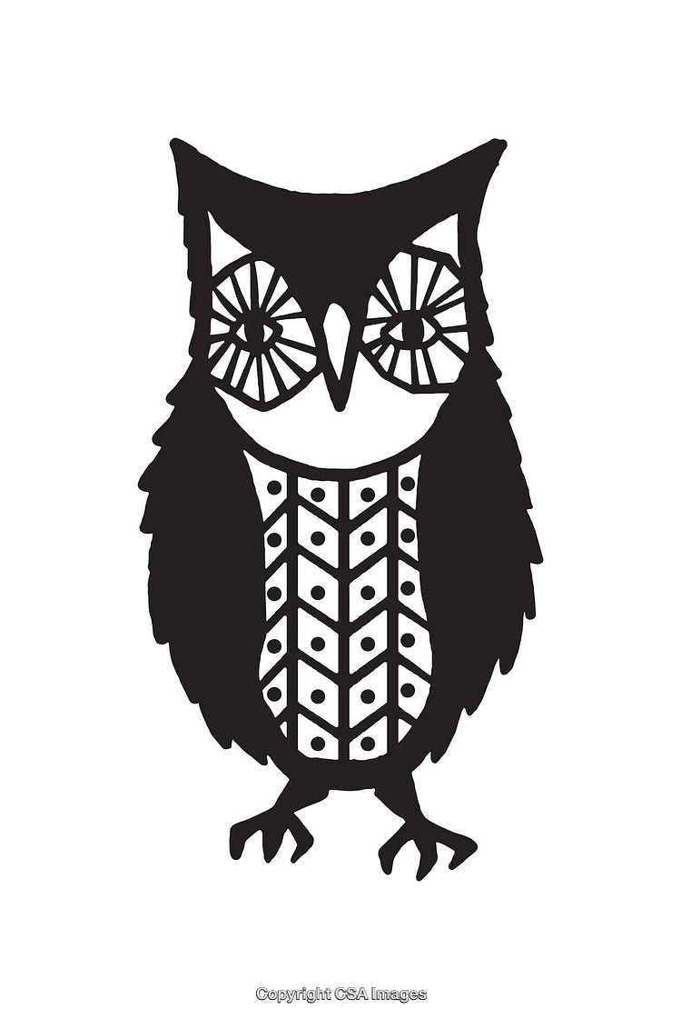 Stylized Black And White Line Art Illustration of an Owl