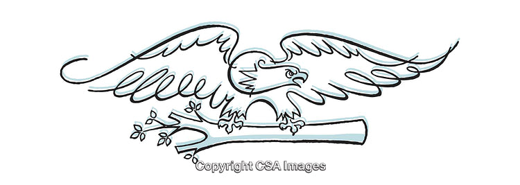 Hand Drawn Illustration of an Eagle Sitting on a Branch