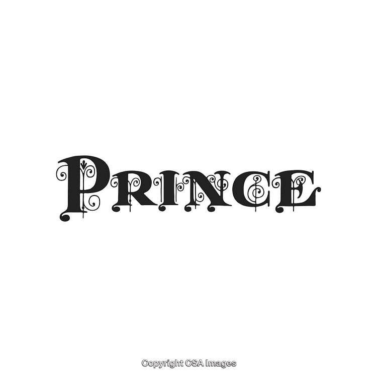 Elegant Black Decorative Typography of the Word Prince on White Background