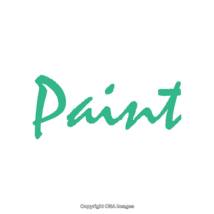 Creative Typography Featuring the Word "Paint" in Bold Handwritten Style