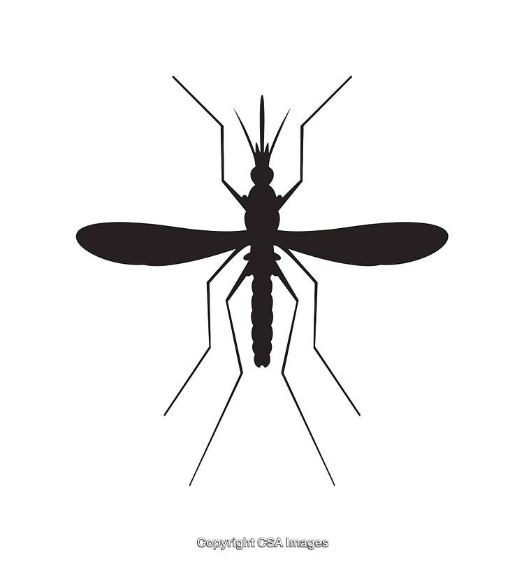 Silhouette Icon of a Mosquito in Black and White Design