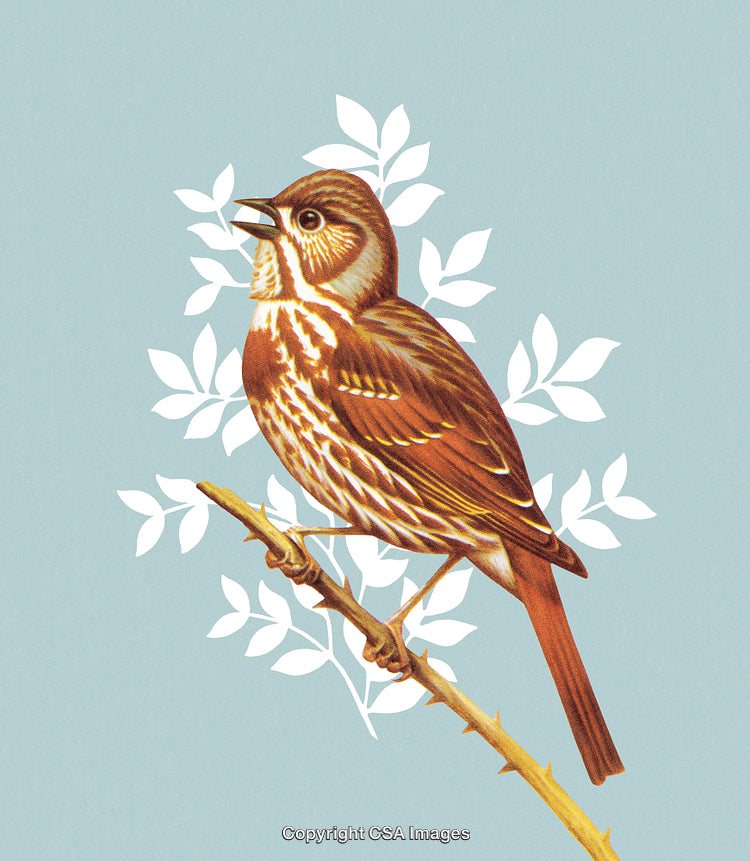 Illustration of a Songbird Perched on a Branch with Leafy Background