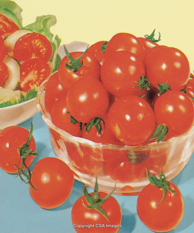 Fresh Bowl of Tomatoes with Vibrant Salad on Colorful Background