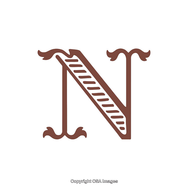 Elegant Typography of the Letter N in a Decorative Serif Style