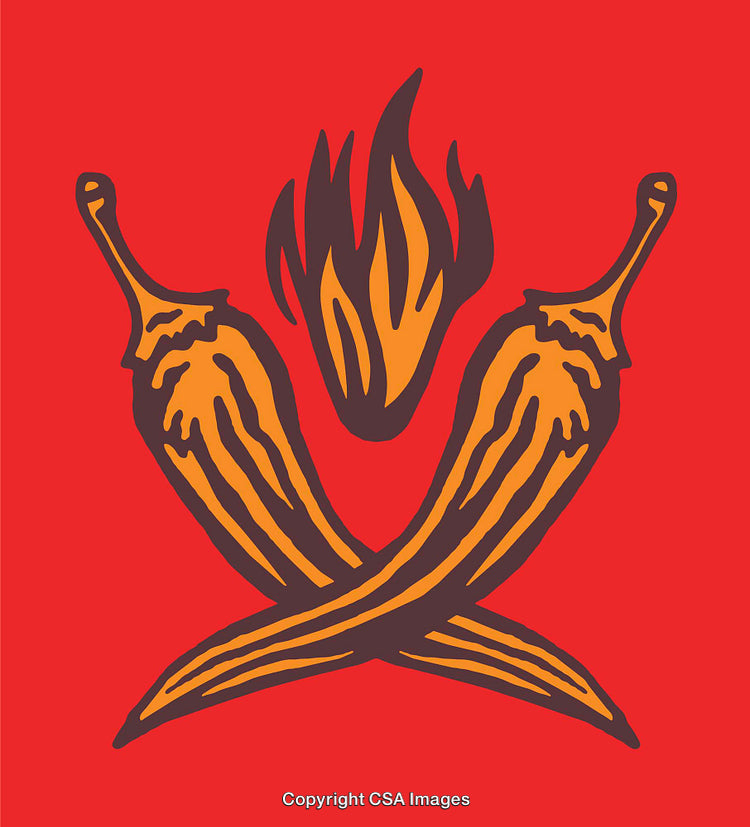Spicy Chili Peppers with Flames on Vibrant Red Background Illustration