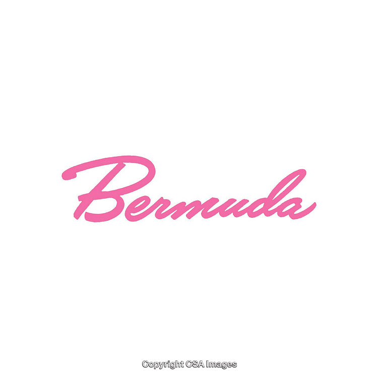 Minimalistic Bermuda Text in Bright Pink Font on White Background