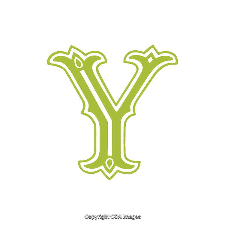 Elegant Green Letter Y Design with Decorative Ornamentation on White