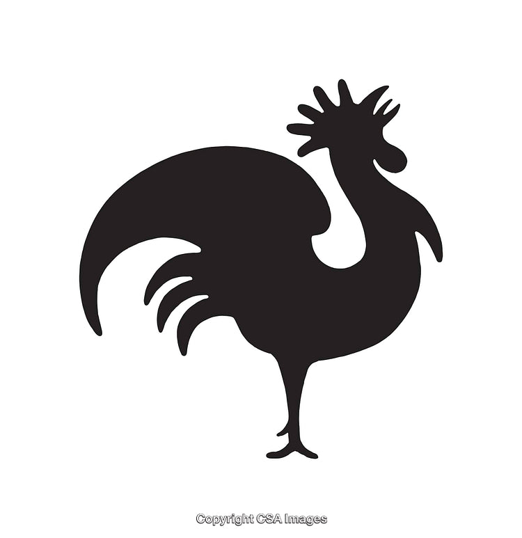 Black and White Rooster Silhouette Illustration of Stylized Farm Animal