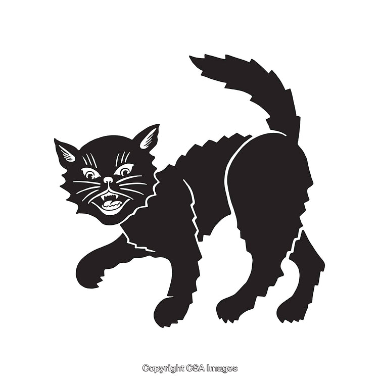 Black and White Line Art of an Aggressive Hissing Cat