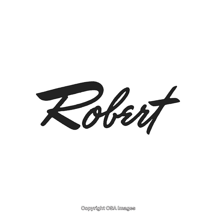 Stylized Black Script Text Featuring the Name Robert on White Background