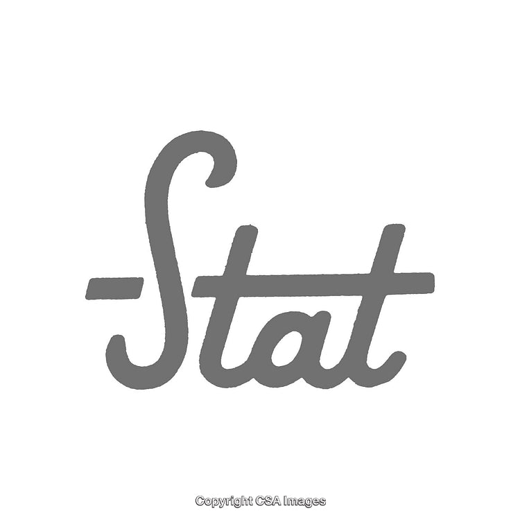 Minimalistic Monochrome Calligraphy Design Featuring the Word Stat in Elegant Script