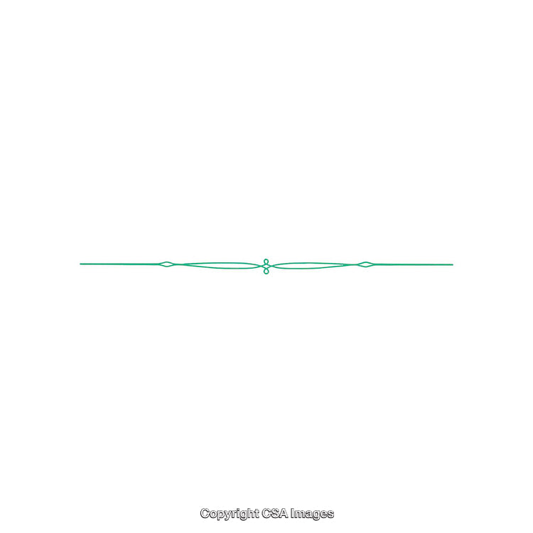 Green Decorative Line Border with Elegant Swirls on White Background