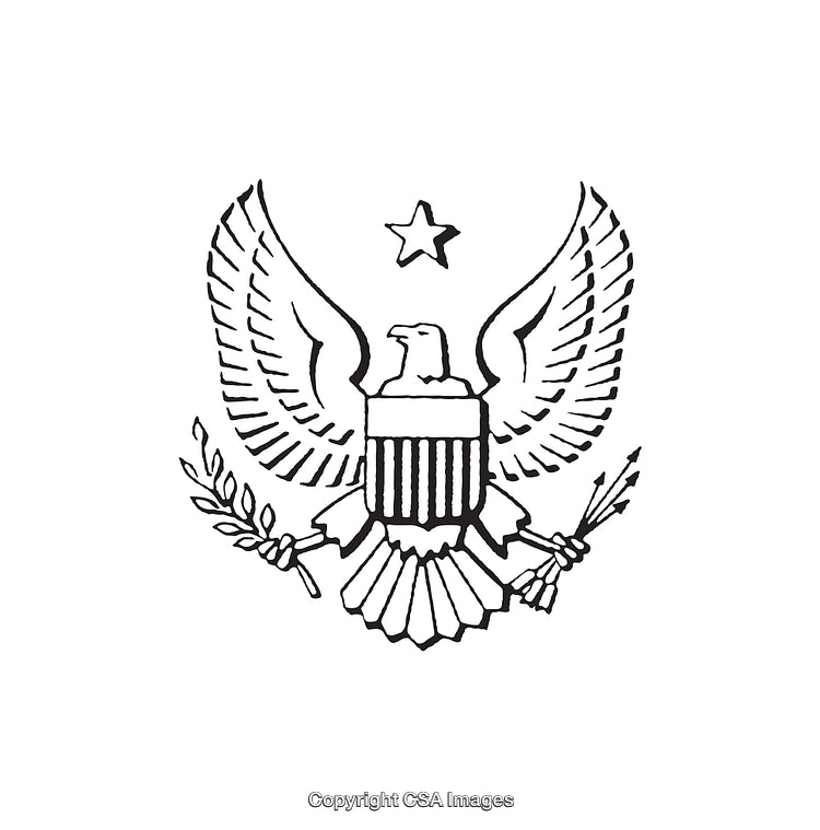 Black and White Line Art Design of an American Eagle Illustration