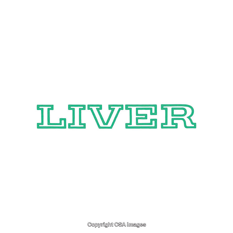Bold Green Liver Sign in Vintage Block Lettering