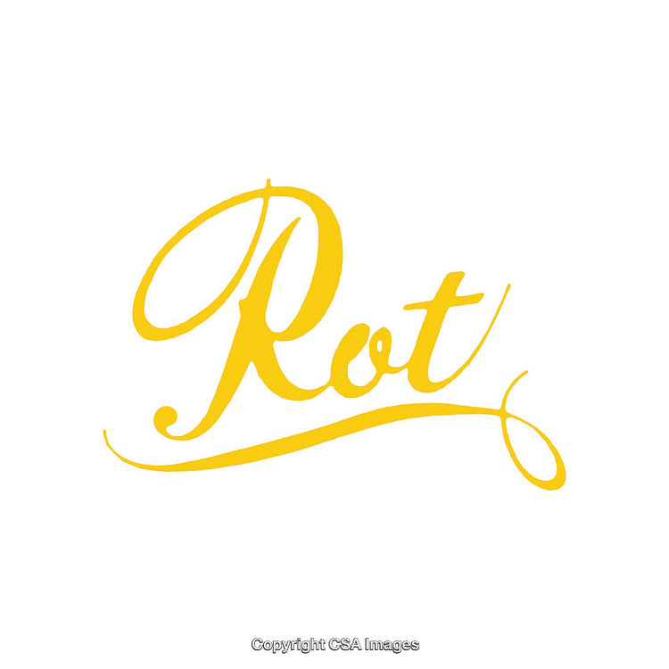 Elegant Yellow Script on Clean White Background