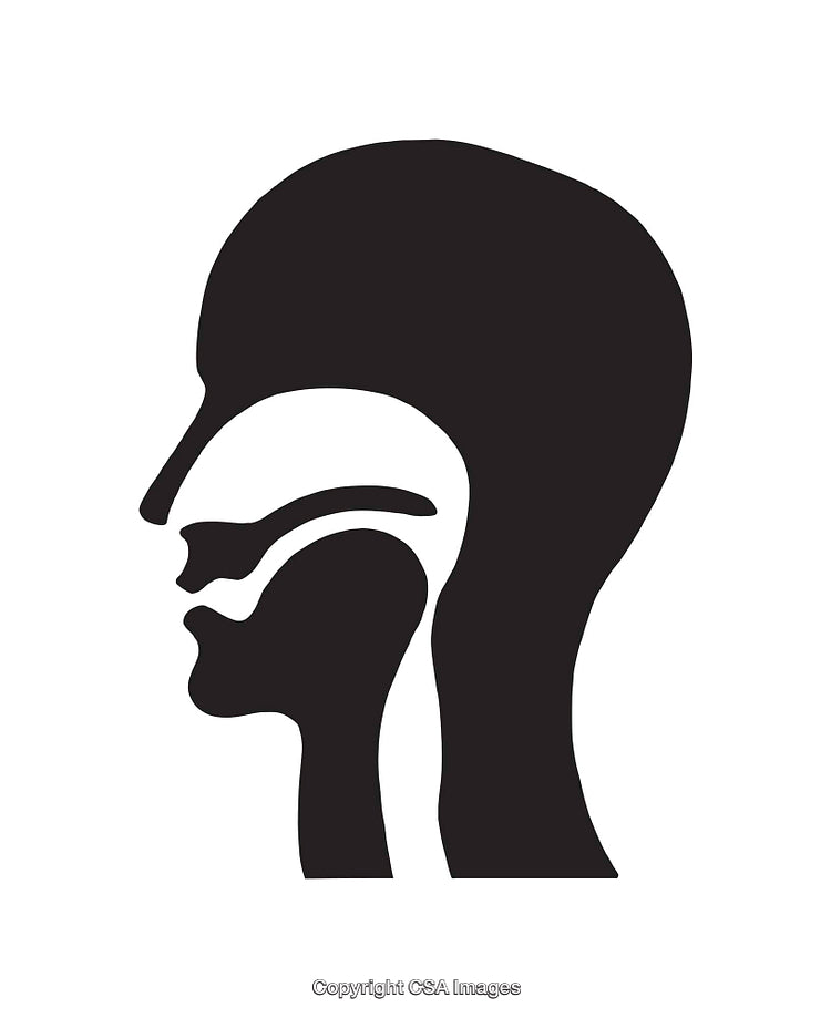 Black and White Human Head Sideview Anatomy Icon Illustration