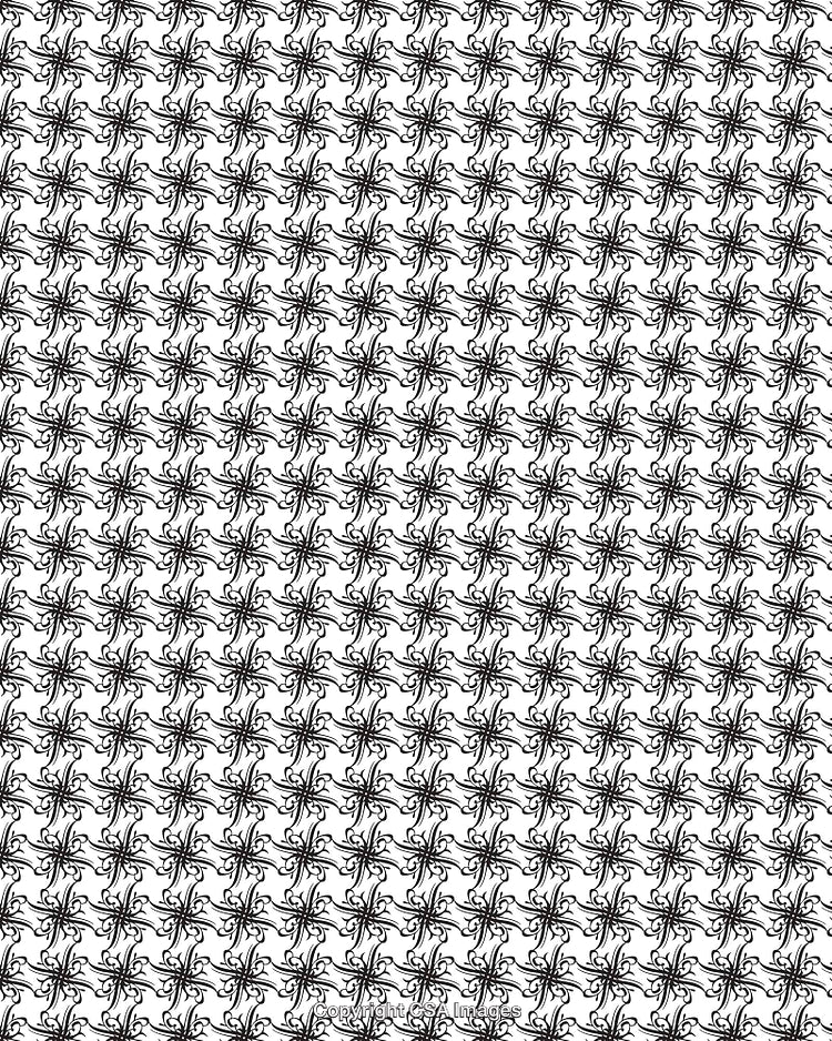 Black and White Seamless Pattern with Elegant Floral Design
