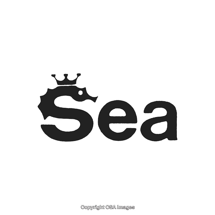 Creative Logo Design Featuring a Seahorse Crown and Letter Typography Concept
