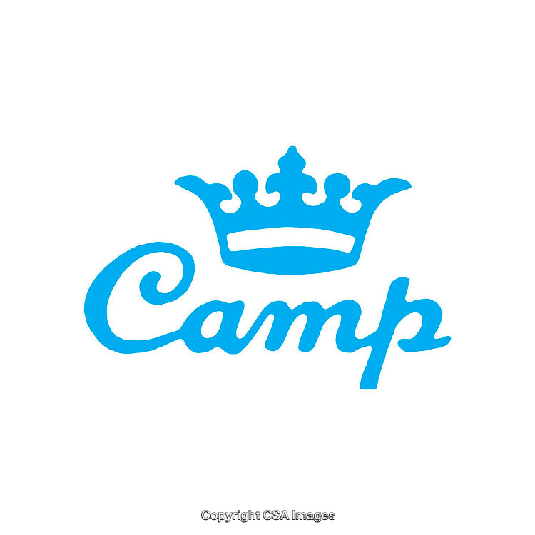 Blue One Tone Crown Logo with Script Font Design