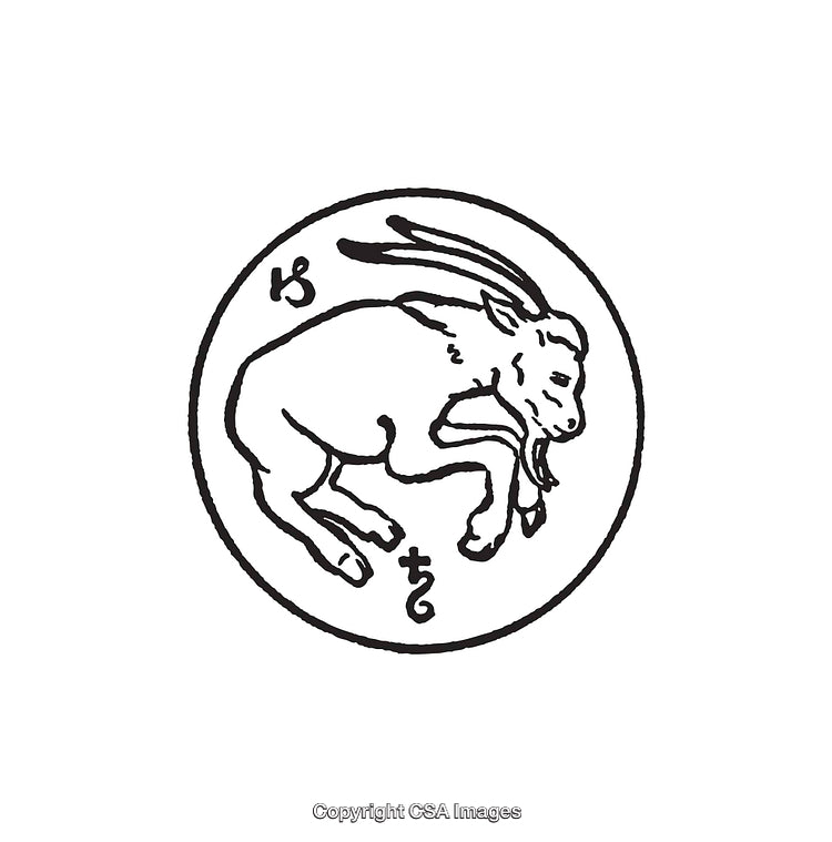 Intricate Line Art Illustration of a Rabbit Inside a Circle with Symbols
