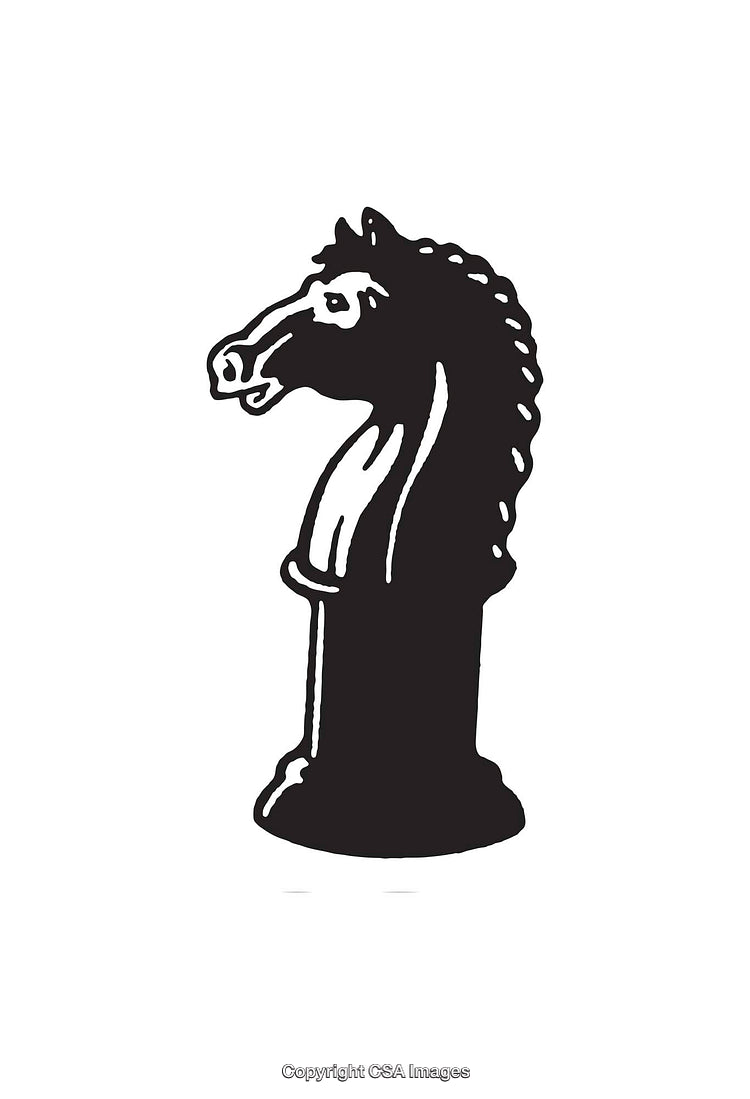 Black and White Chess Knight Line Art Illustration On White Background