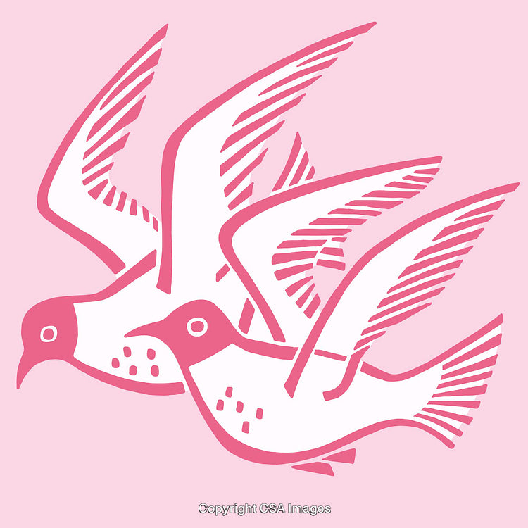 Abstract Pink Illustration of Two Flying Birds in Motion