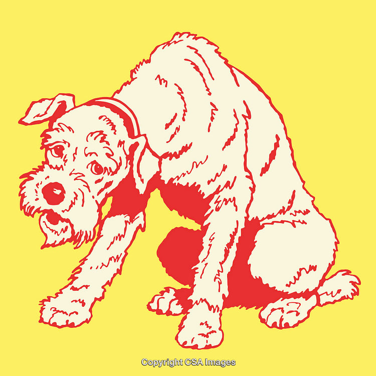 Illustration of a Cute Dog in Colorful Line Art Style