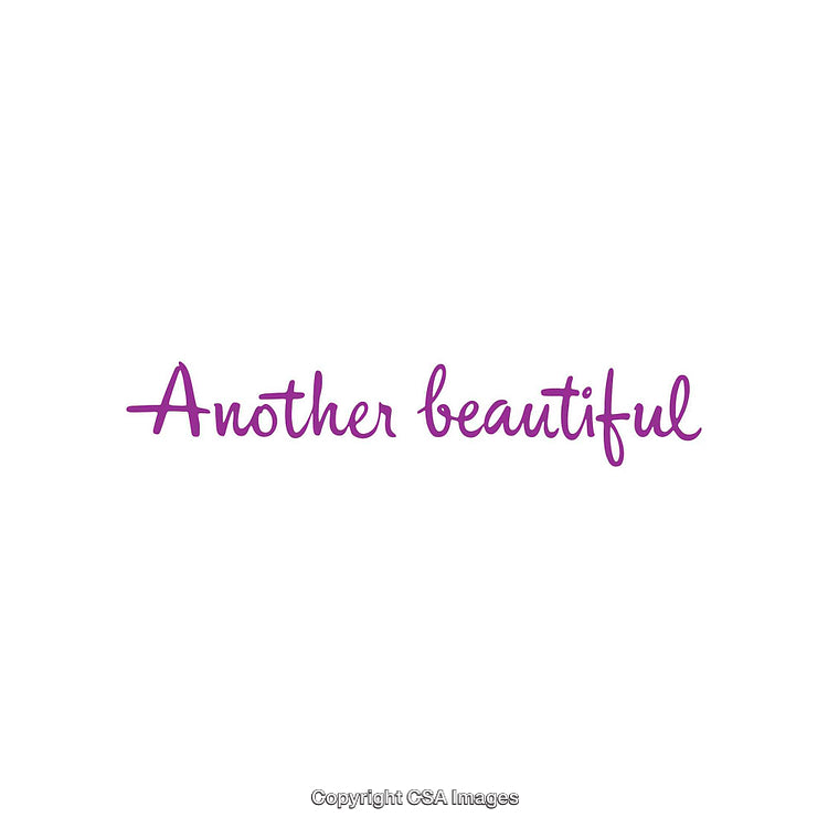 Purple Script Text 'Another Beautiful' on White Background