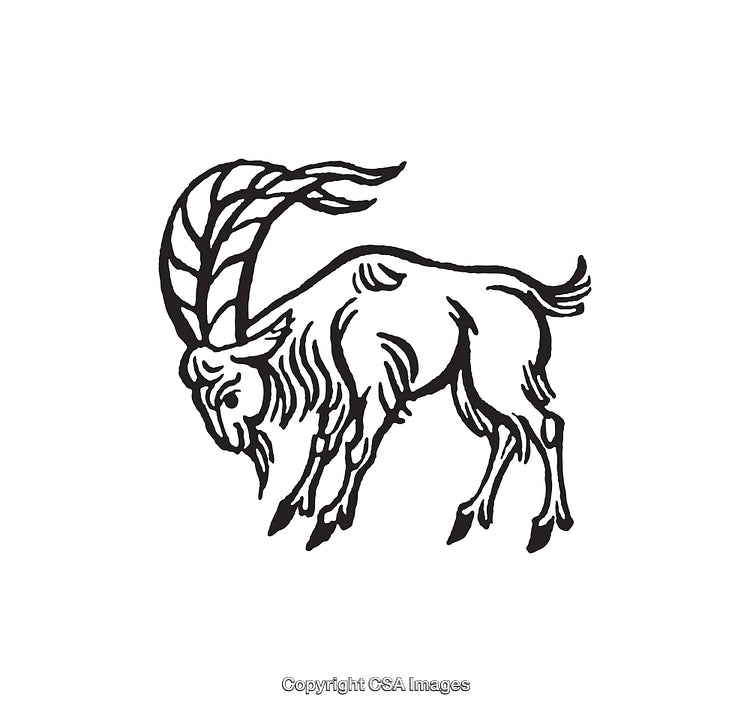 Hand-Drawn Line Art Illustration of a Goat with Curved Horns