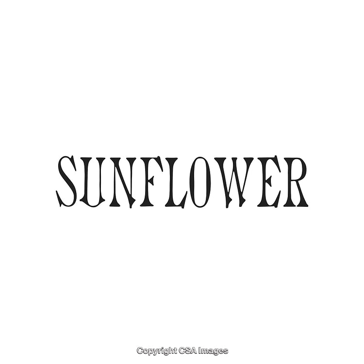 Elegant Black Text 'Sunflower' Styled in a Unique Typeface on White Background