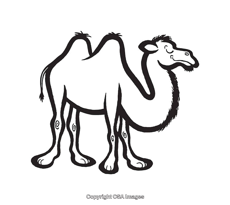 Black And White Line Art Illustration of a Smiling Camel